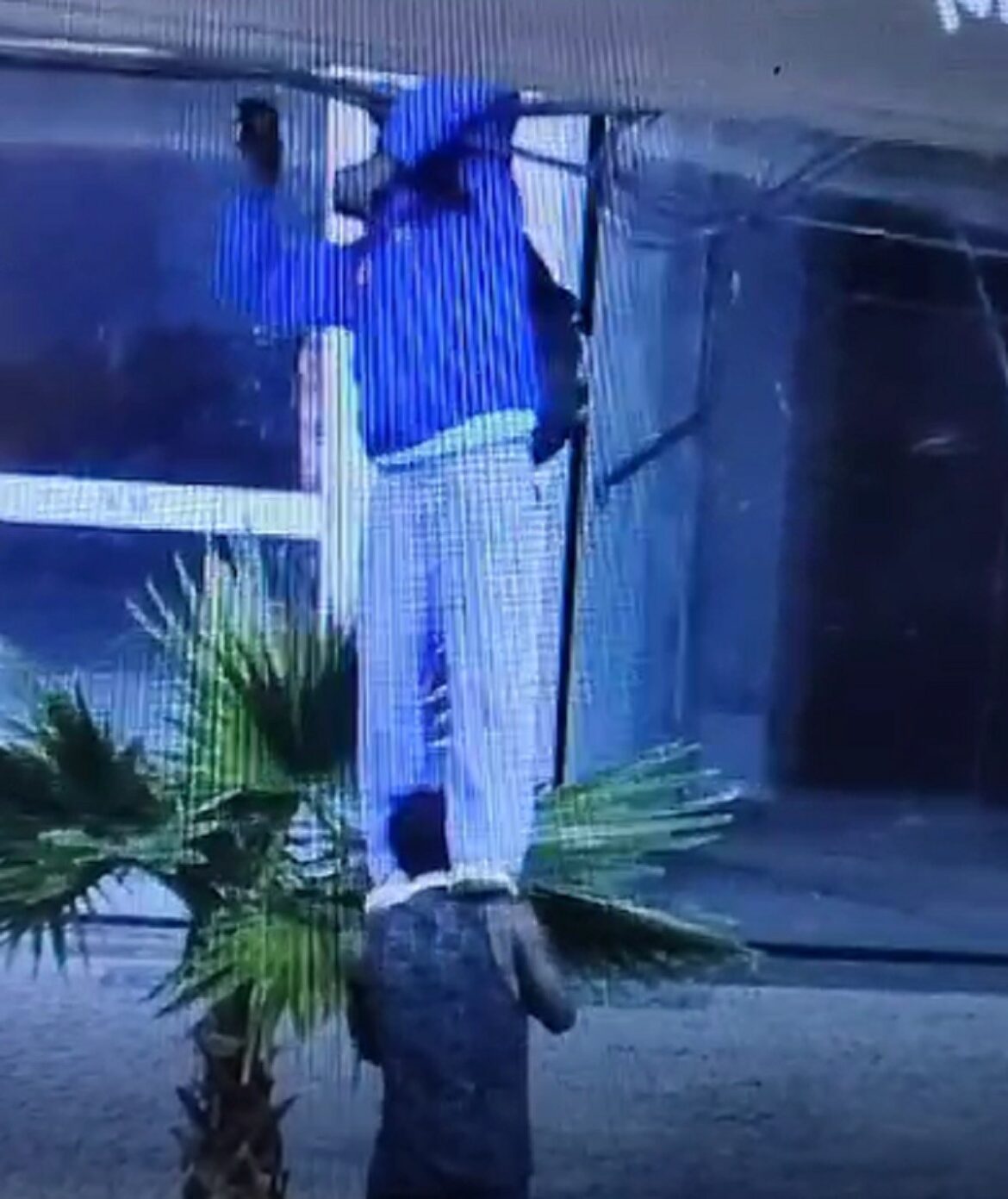 ladrao-‘escala’-em-comparsa-para-furtar-cabos-no-centro-de-juiz-de-fora;-video