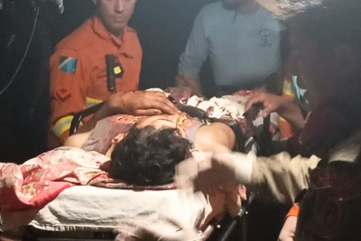 por-que-onca-atacou-trabalhador-no-pantanal-de-ms?