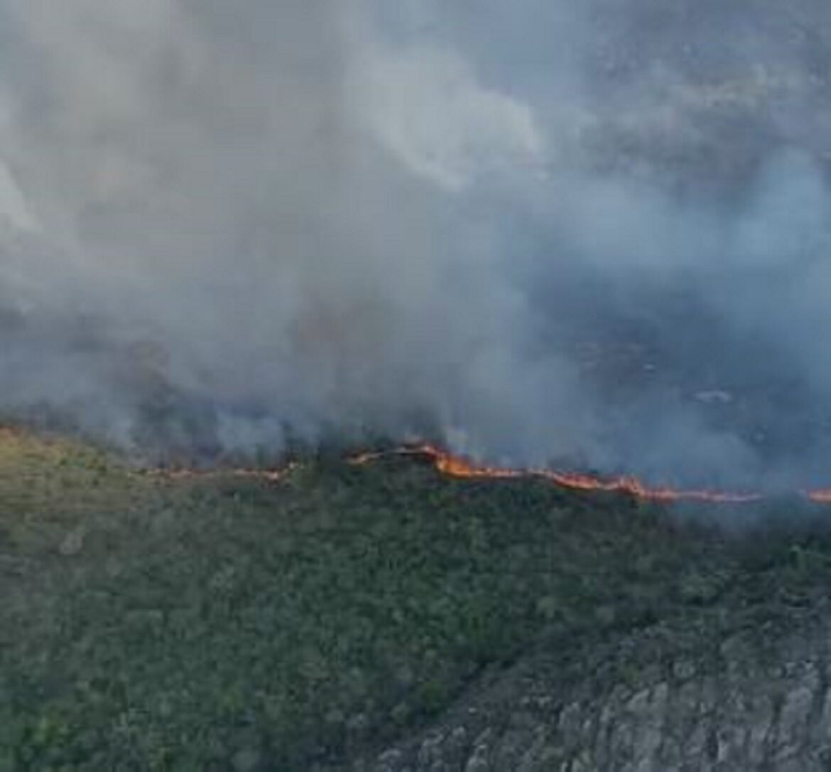 fogo-ja-consumiu-20%-da-serra-de-sao-jose,-area-de-protecao-ambiental-em-mg;-suspeita-e-de-incendio-criminoso