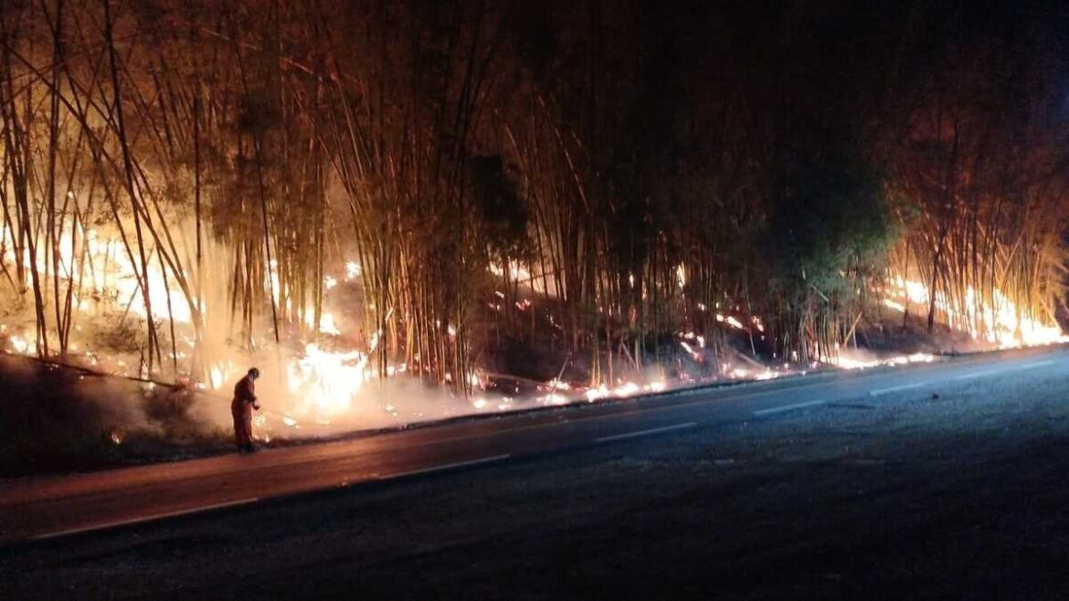 incendio-em-bambuzal-interdita-estrada-uniao-e-industria-por-horas-em-juiz-de-fora;-video