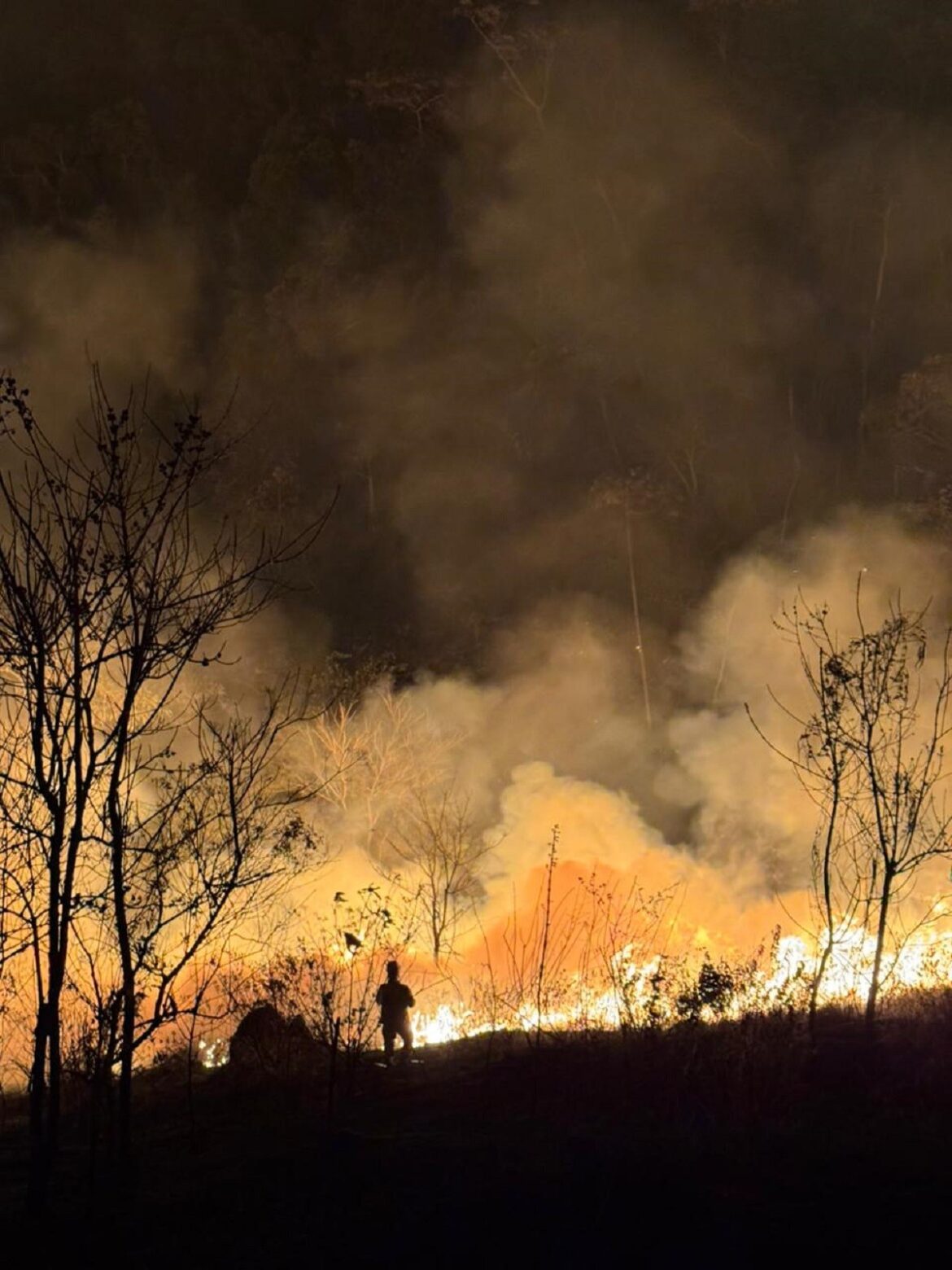 incendio-destroi-area-equivalente-a-sete-campos-de-futebol-proxima-a-mata-do-krambeck,-em-juiz-de-fora