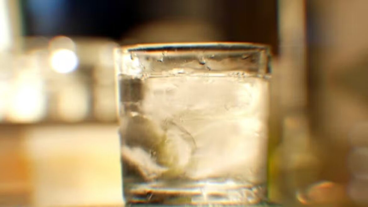 mais-de-900-litros-de-bebidas-e-1-tonelada-de-alimentos-improprios-para-consumo-sao-apreendidos-em-juiz-de-fora