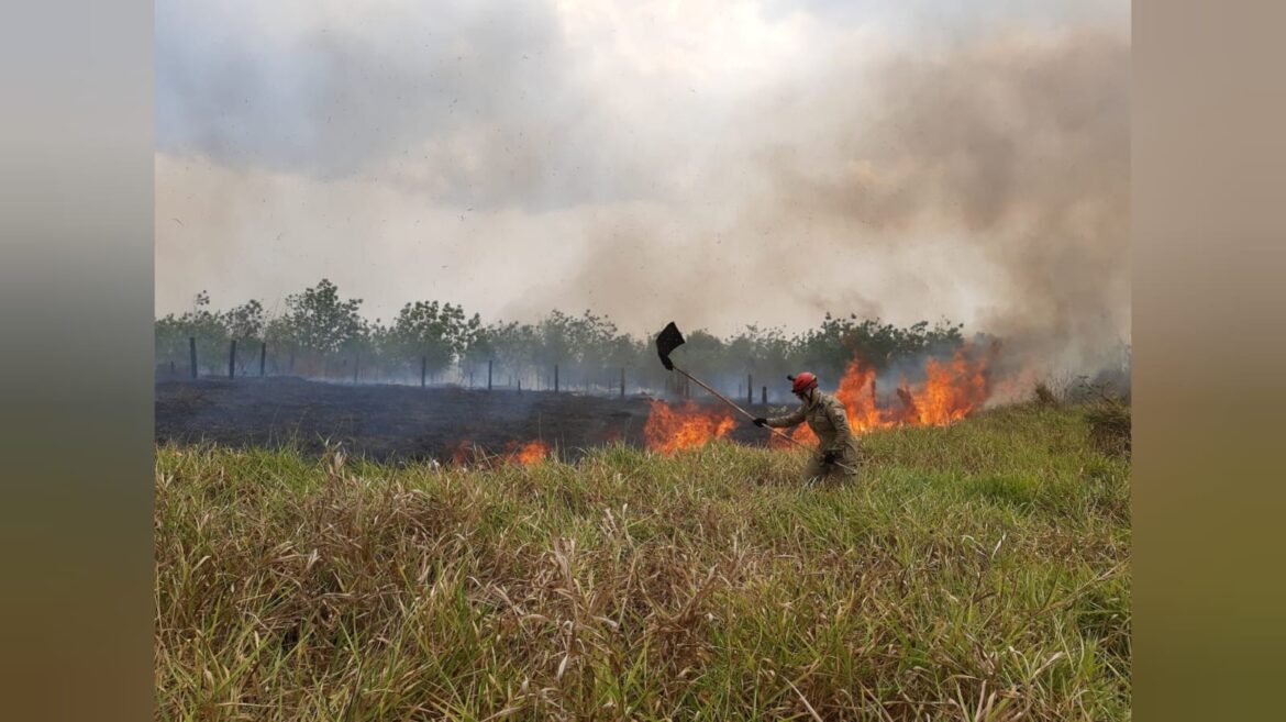 santarem-registra-queda-de-mais-de-50%-no-numero-de-incendios-de-janeiro-a-outubro-de-2025