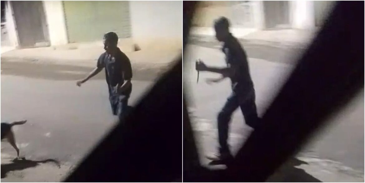 motociclista-esfaqueia-cachorro-e-alega-que-animal-o-atacava-ao-passar-de-moto-na-rua