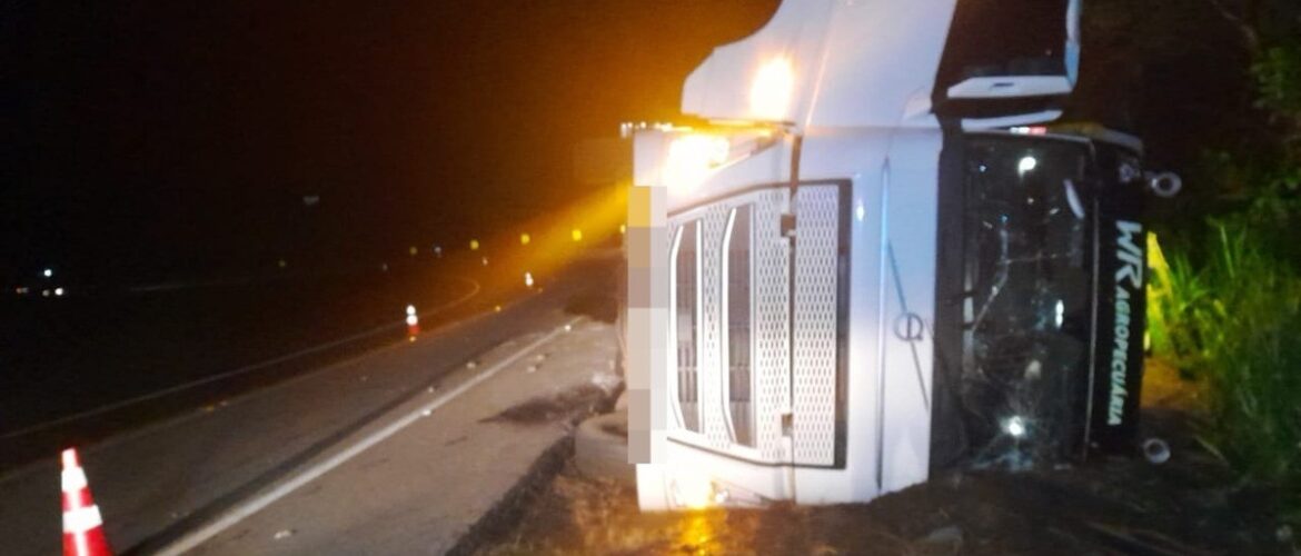 carreta-com-mais-de-70-bois-tomba-na-br-116