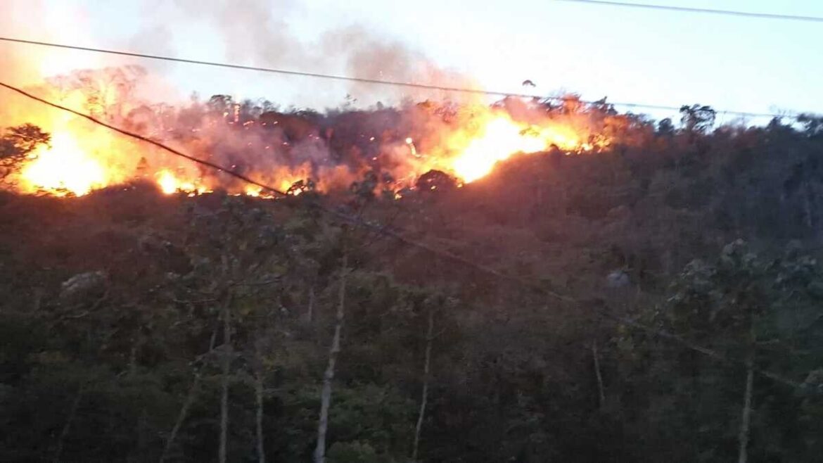 bombeiros-combatem-incendio-em-mata-apos-relatos-de-queda-de-balao-em-juiz-de-fora bombeiros-combatem-incendio-em-mata-apos-relatos-de-queda-de-balao-em-juiz-de-fora