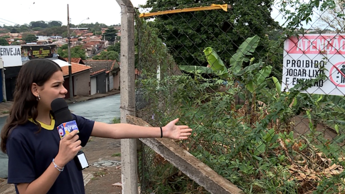 menina-de-11-anos-denuncia-abandono-de-terrenos-e-risco-de-dengue-em-uberaba:-‘muito-mato,-muita-sujeira’