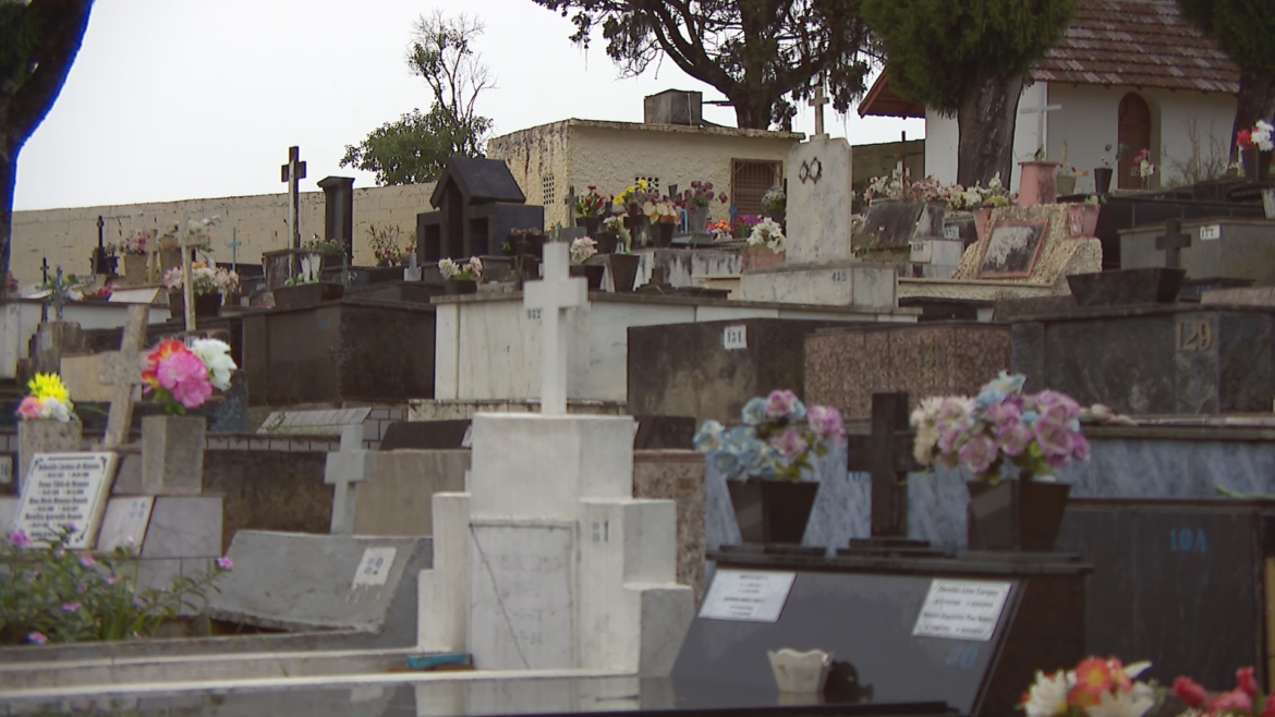 finados:-confira-funcionamento-dos-cemiterios,-missas-e-alteracoes-de-transito-em-juiz-de-fora