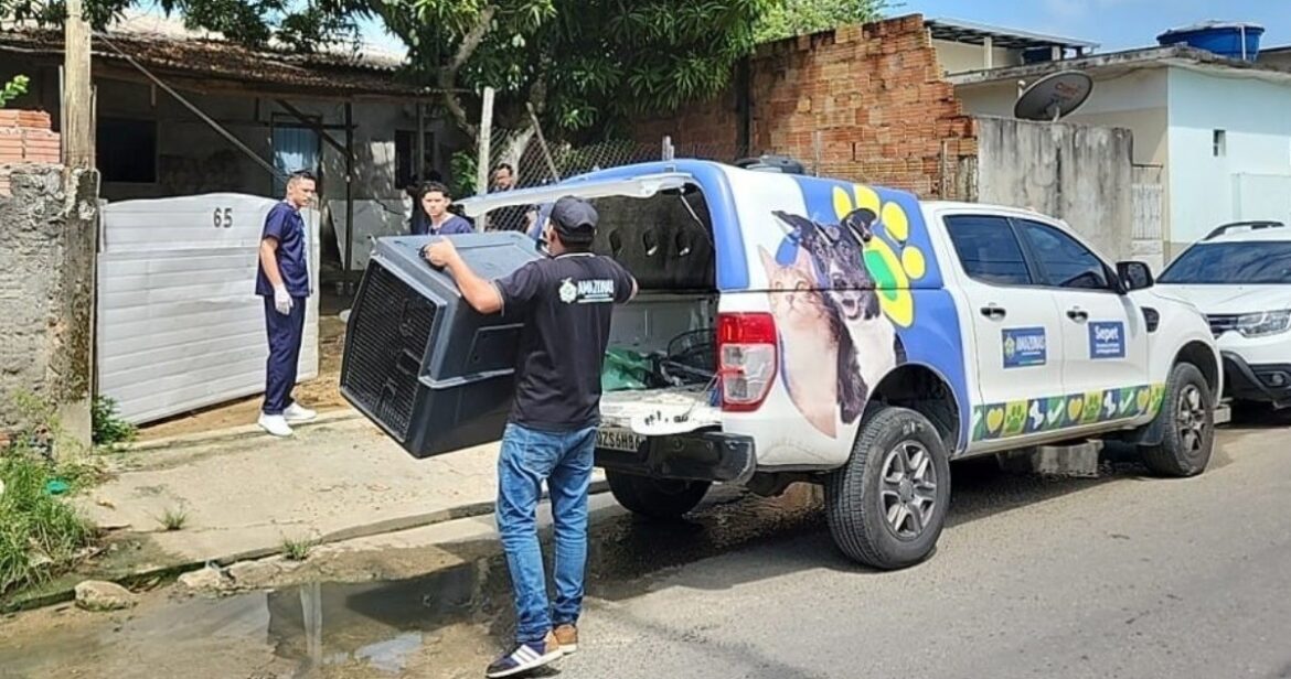 mulher-e-presa-por-deixar-caes-feridos,-desnutridos-e-um-deles-sem-olho-em-manaus