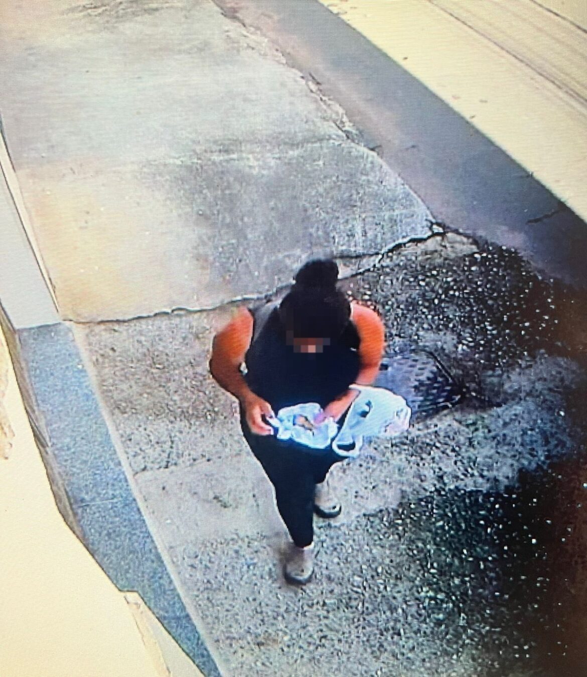 mulher-suspeita-de-envenenar-cachorros-e-solta-em-juiz-de-fora;-video