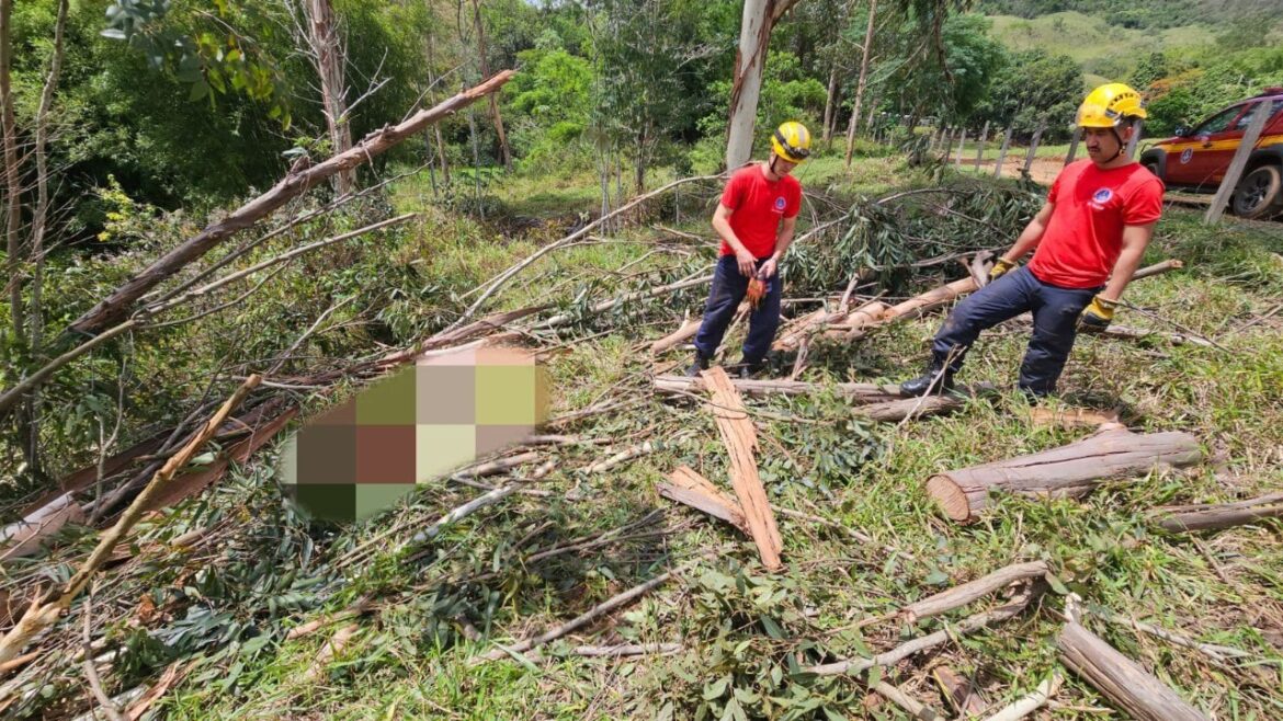 homem-morre-atingido-por-tronco-enquanto-cortava-eucalipto-em-rio-pomba