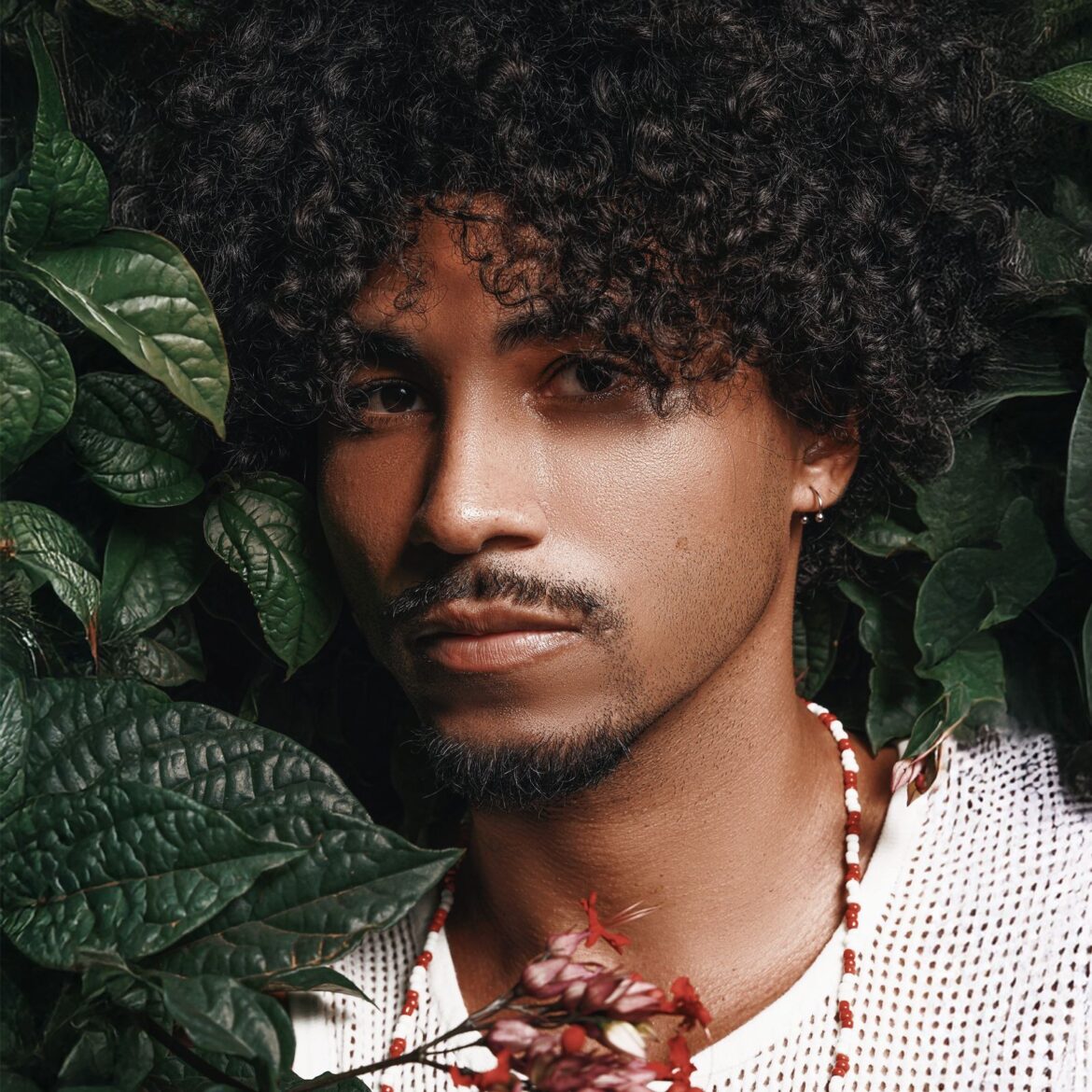 discoteca-virtual-11-–-os-albuns-de-ivyo,-naiara-martins,-jean-william-e-ordinarius