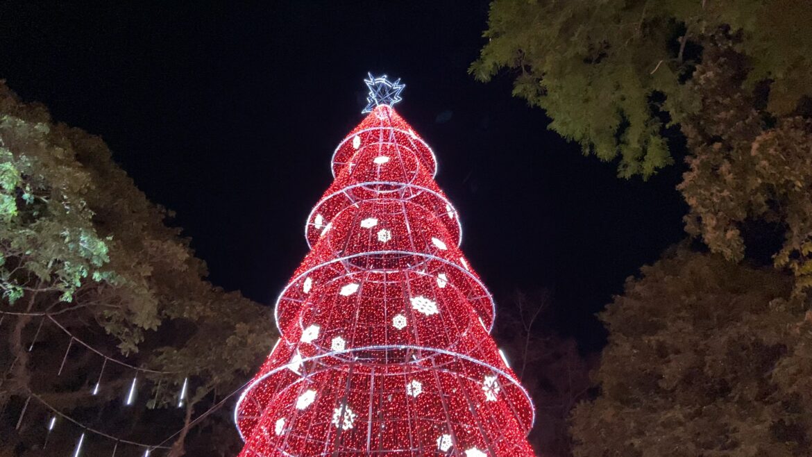 video-e-fotos:-com-arvore-gigante,-decoracao-de-natal-do-parque-halfeld-e-inaugurada