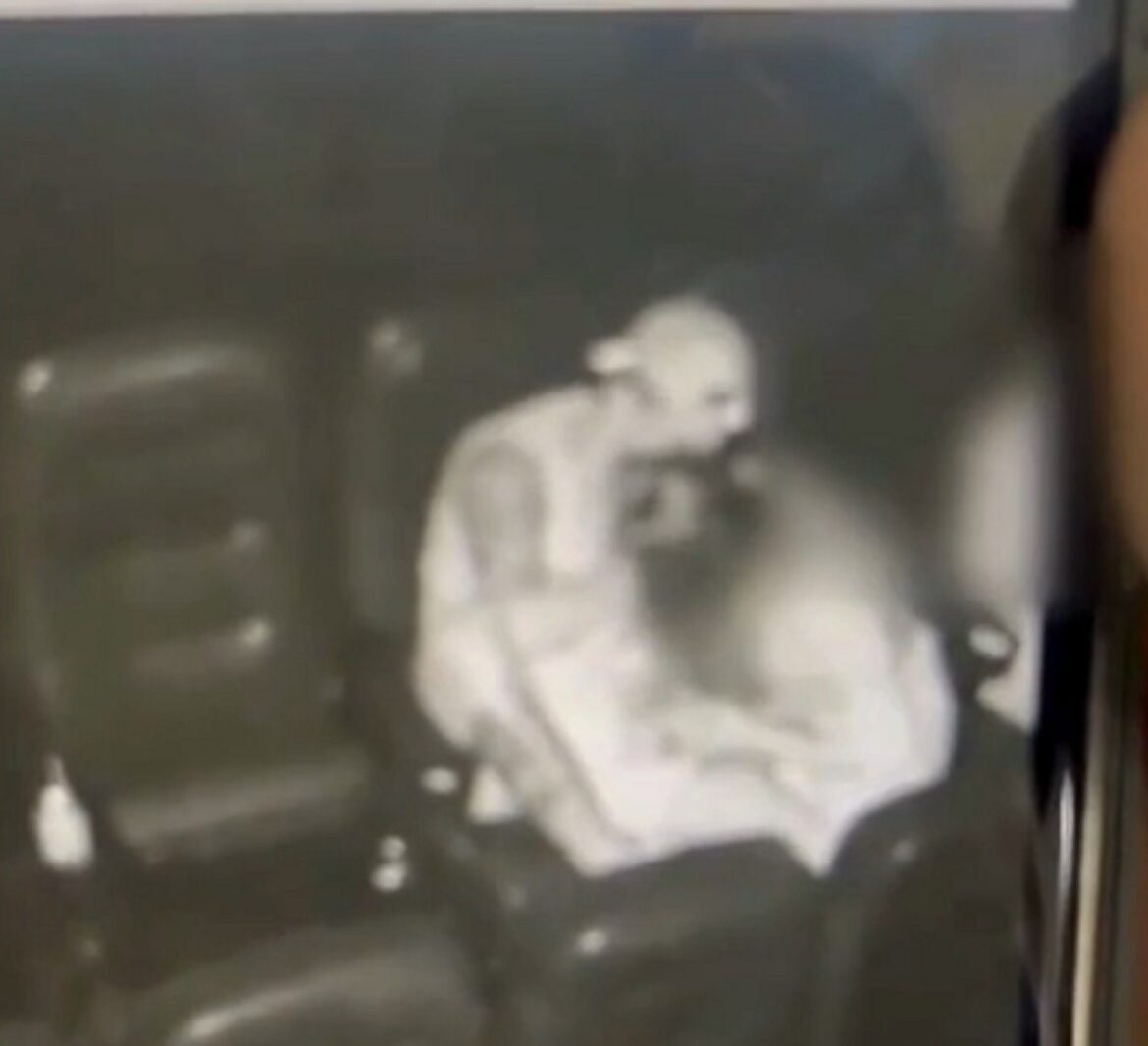 jovem-gravida-e-agredida-e-mordida-pelo-companheiro-em-sala-de-cinema-em-mg;-video