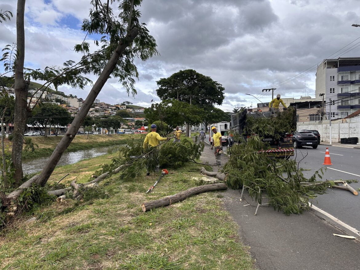 sob-efeito-de-ciclone-extratropical,-juiz-de-fora-tem-vendaval-de-70-km/h-e-queda-de-arvores