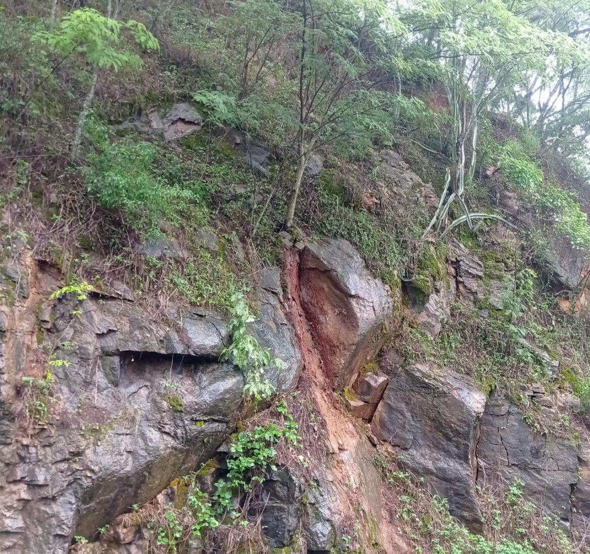 temporais-provocam-alagamentos,-deslizamentos-e-risco-de-falta-d’agua-na-zona-da-mata