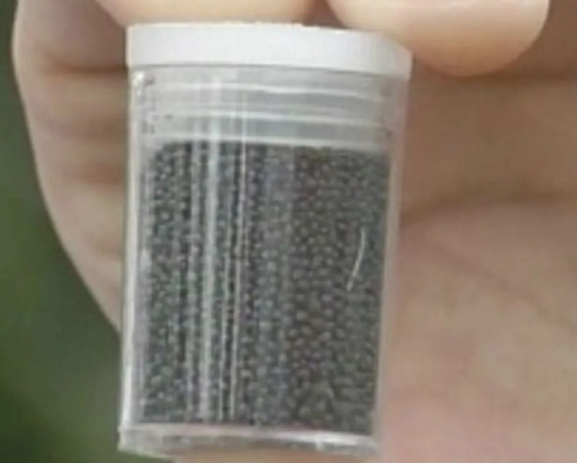 venda-de-chumbinho-passa-a-ser-proibida-em-juiz-de-fora;-entenda