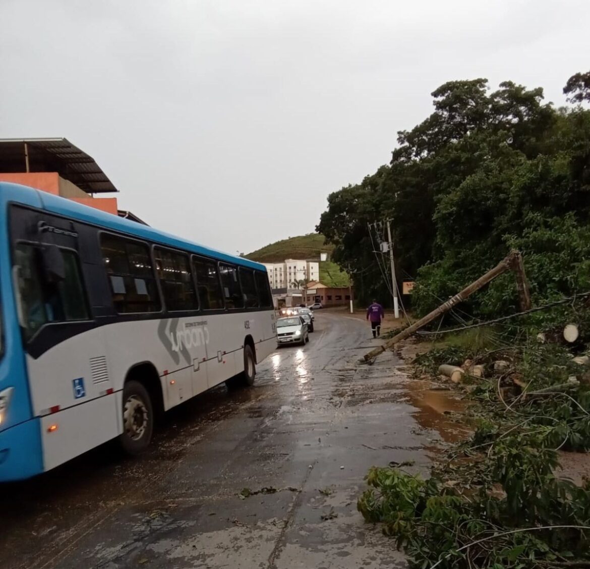 voce-viu?-caes-e-menores-em-situacao-de-abandono,-novo-temporal-em-jf-e-liberacao-de-condenado-por-atos-golpistas-para-visitar-filha-internada