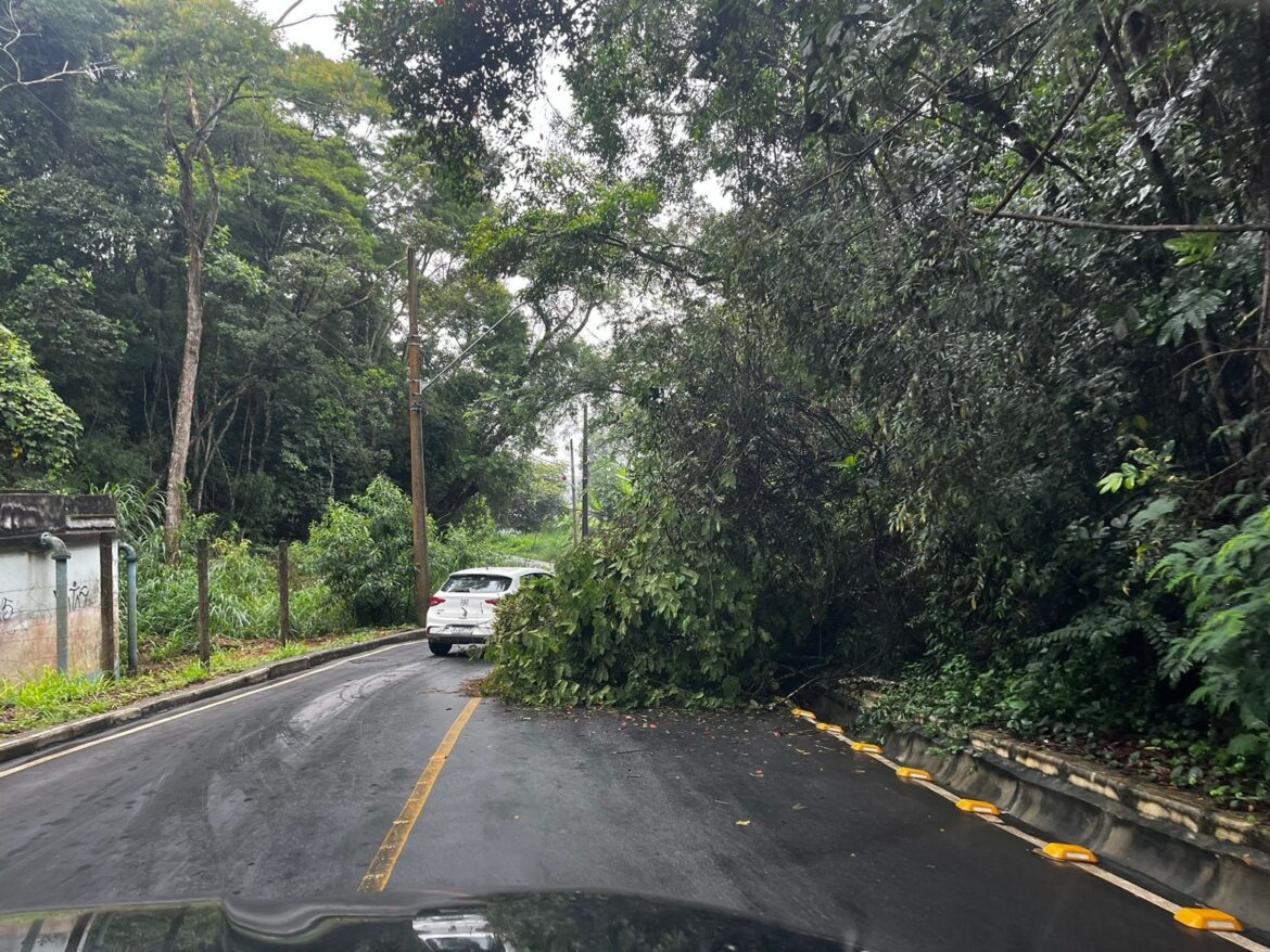 chuva-causa-deslizamentos,-queda-de-arvore-e-interdicao-de-ruas-em-juiz-de-fora