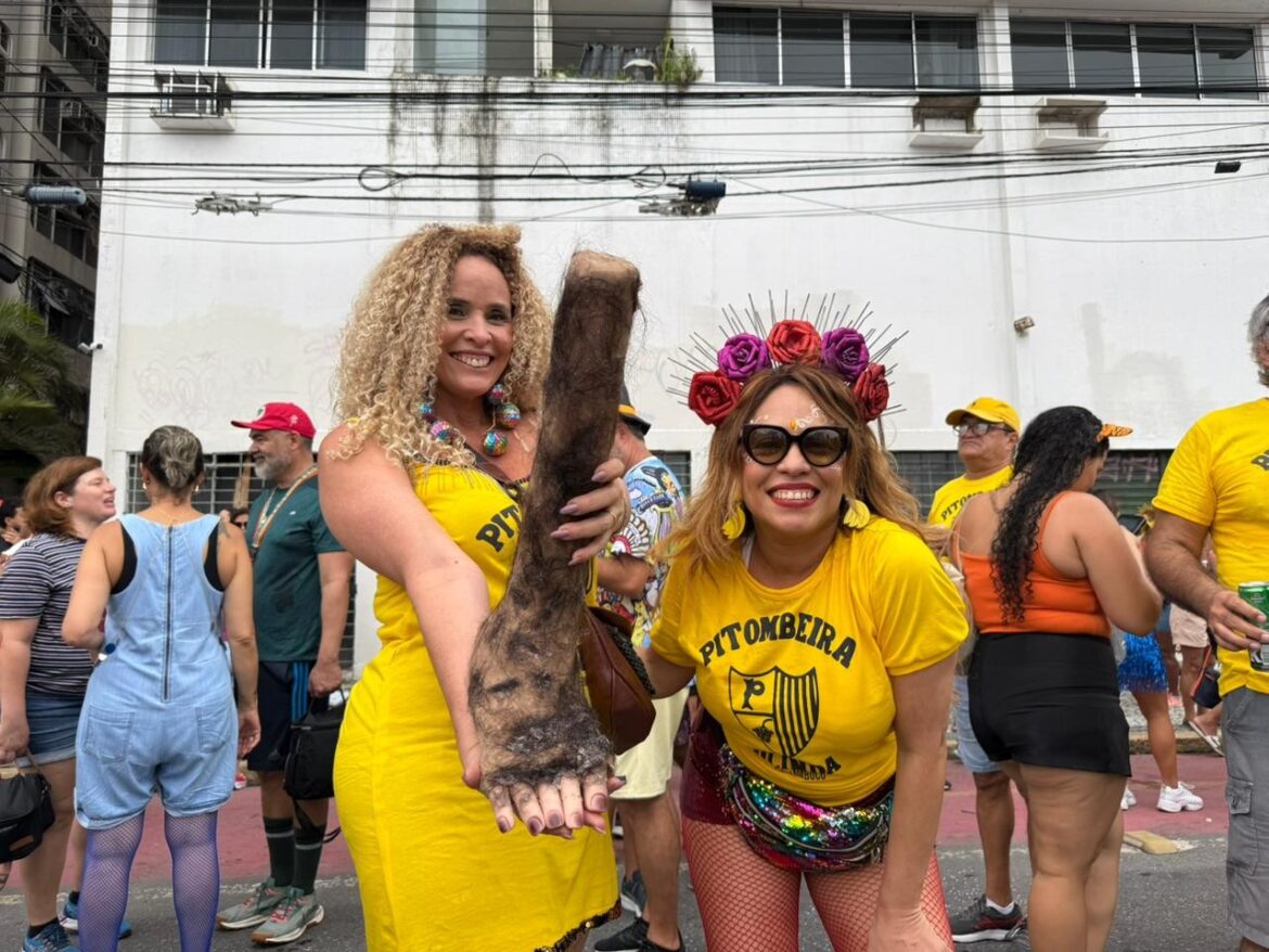 blocos-lotam-ruas-e-marcam-segundo-dia-de-pre-carnaval-em-capitais-brasileiras