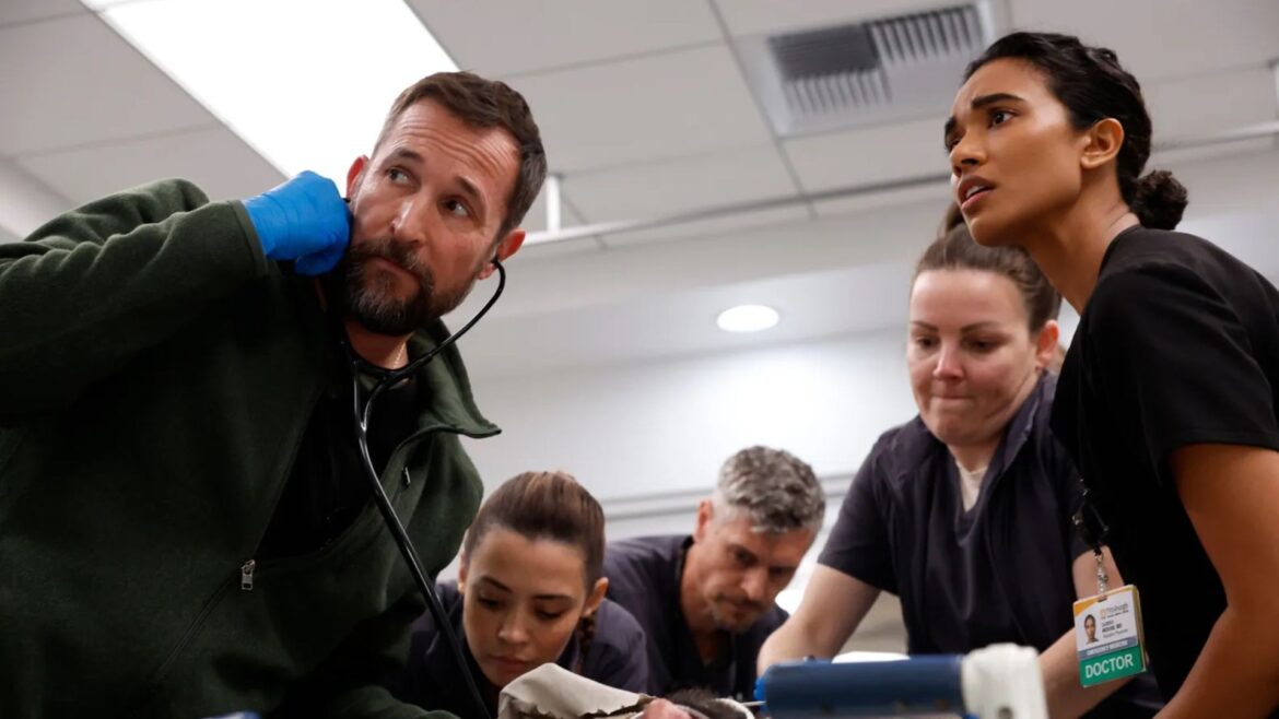 o-fetiche-pela-competencia:-como-‘the-pitt’-e-‘the-bear’-ganham-fas-com-estetica-do-trabalho-bem-feito