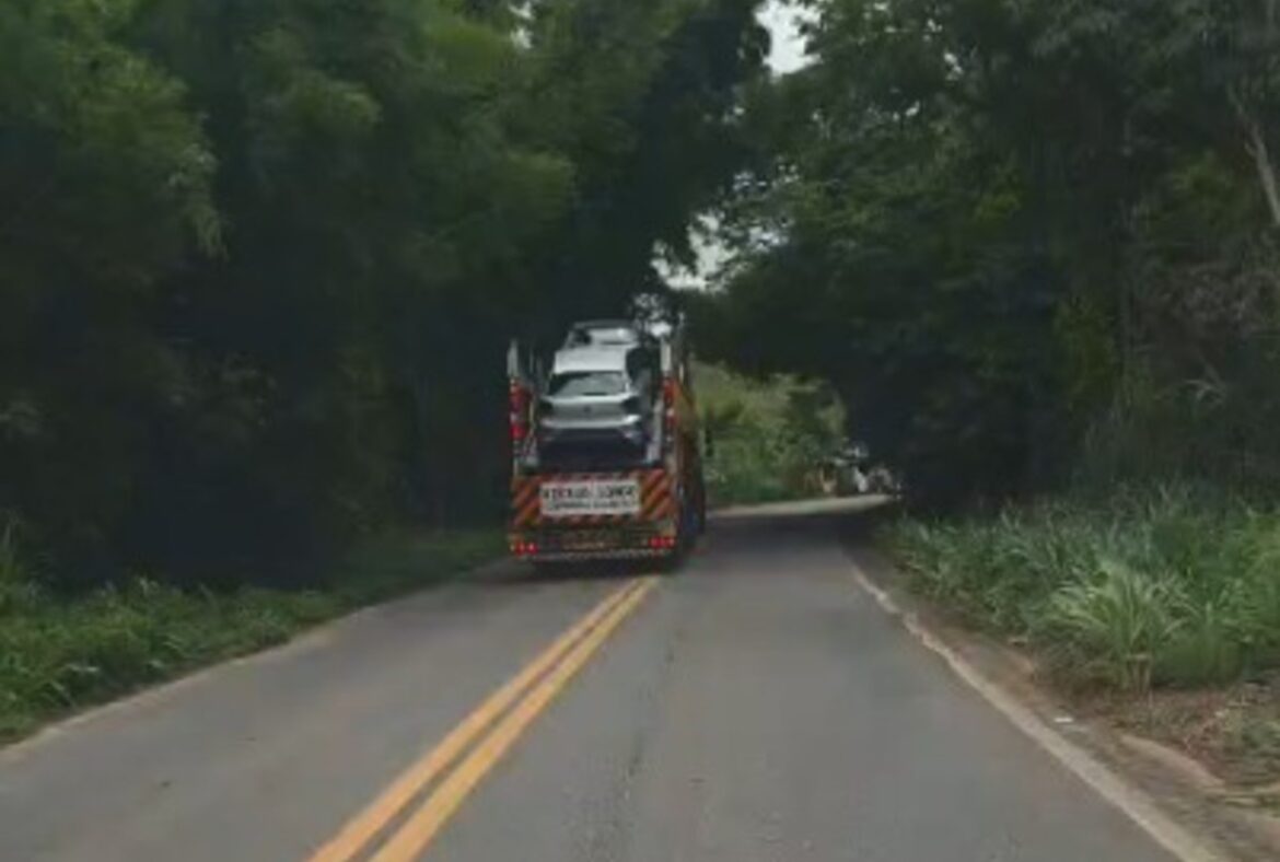 video:-cegonheira-e-flagrada-na-contramao-para-desviar-de-galhos-de-arvore-na-mg-133