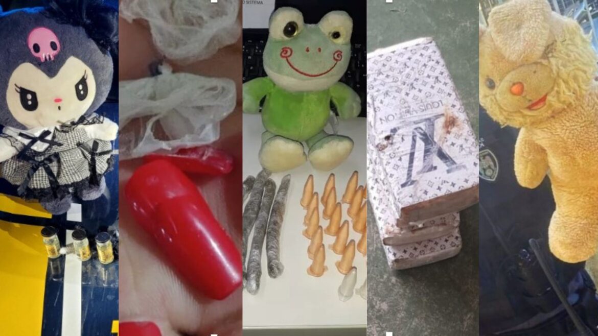 brinquedo-de-pelucia,-carga-de-aveia,-marca-de-luxo-e-ate-nas-unhas:-os-esconderijos-de-drogas-e-armas-descobertos-pela-policia-no-es