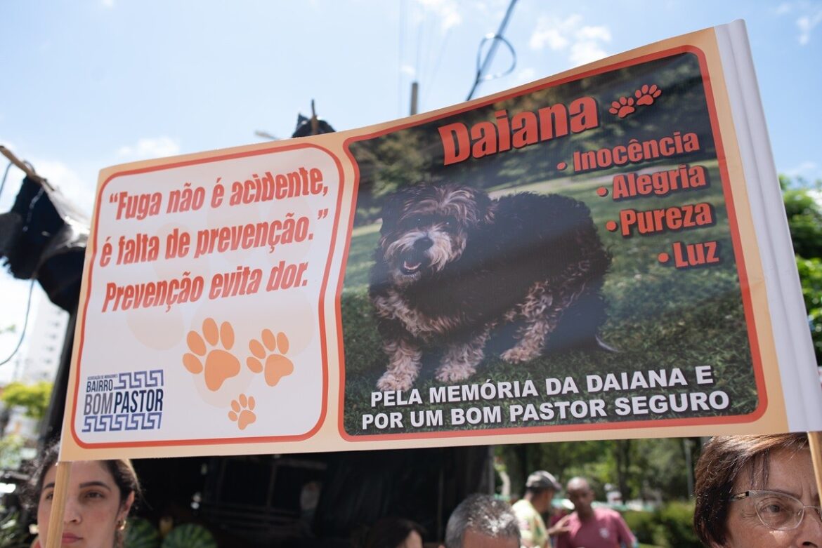 moradores-protestam-apos-morte-de-cadela-atacada-por-pitbull-no-bom-pastor,-em-juiz-de-fora;-video